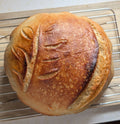 Classic Sourdough
